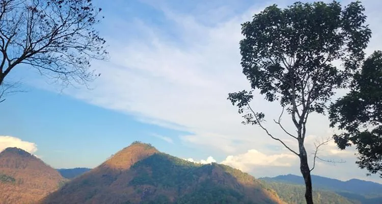 Hébergement de vacances Newcastle Holiday Resorts 5 Bhk Entire Villa With Mountain View Kumudi