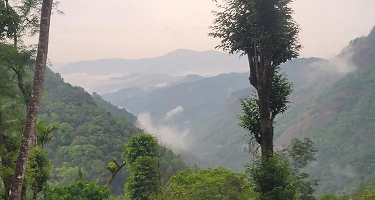 Newcastle Holiday Resorts 5 Bhk Entire Villa With Mountain View Kumudi Hébergement de vacances